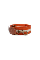 Guinzaglio Cane - Stripes Rust White